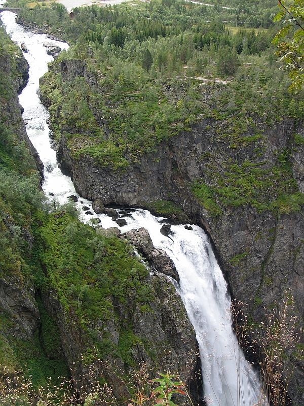 Original image